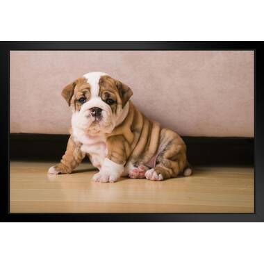 English bulldog sale novelty items